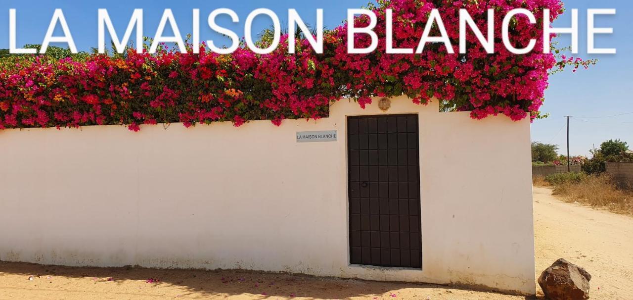 La Maison Blanche A Ngaparou, Splendide Villa Contemporaine Kültér fotó
